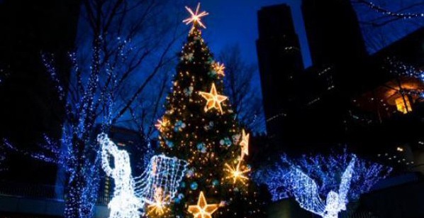 Главную новогоднюю елку Нижнего Новгорода установят к 15 декабря